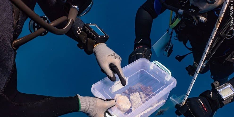 Ναυάγιο Μέντωρ: Νέα στοιχεία για τη λεηλασία Ακρόπολης